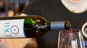Blind Wine Tasting