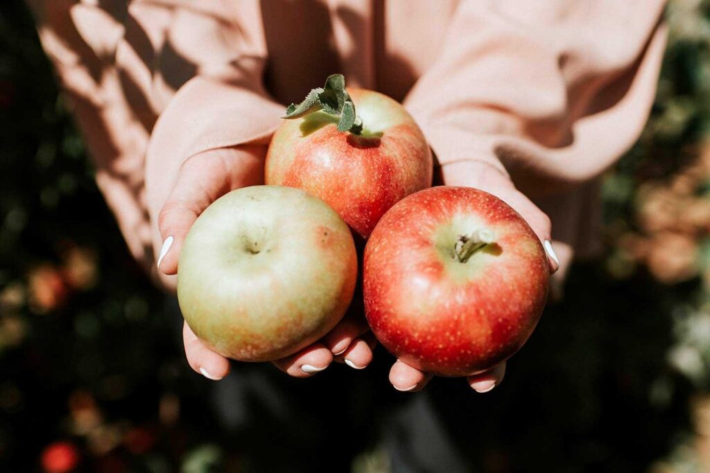 Brant’s Apple Orchard is a popular destination.